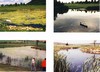 biotope
