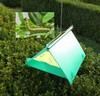 Deltafalle_Buchsbaumzuensler