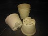 Ecodegrade BioPacks (2)