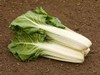 GlatterSilber