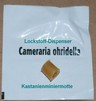 lockstoff_kastanienminiermotte