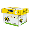 Minipol