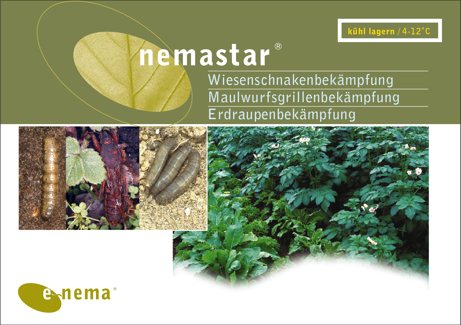 nemastar 50 Mio